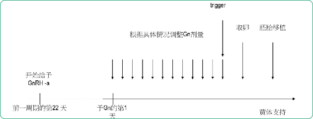 拮抗剂方案