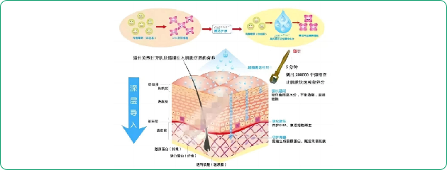 拮抗剂方案